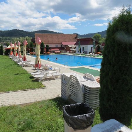Pensiunea Cetina Brad (Hunedoara) Exterior foto