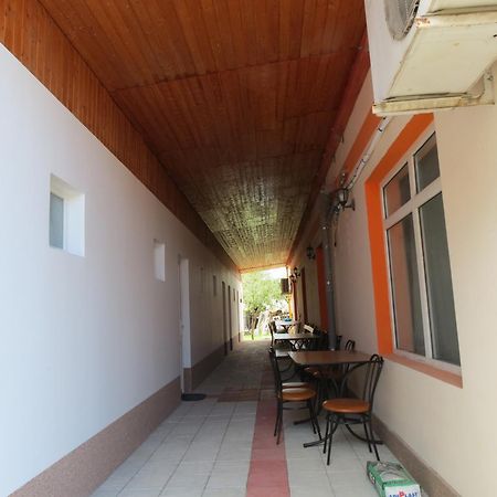 Pensiunea Cetina Brad (Hunedoara) Exterior foto