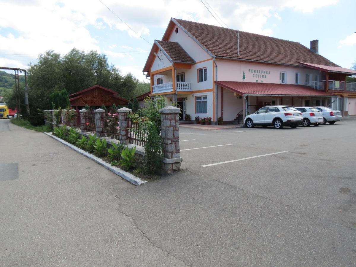 Pensiunea Cetina Brad (Hunedoara) Exterior foto