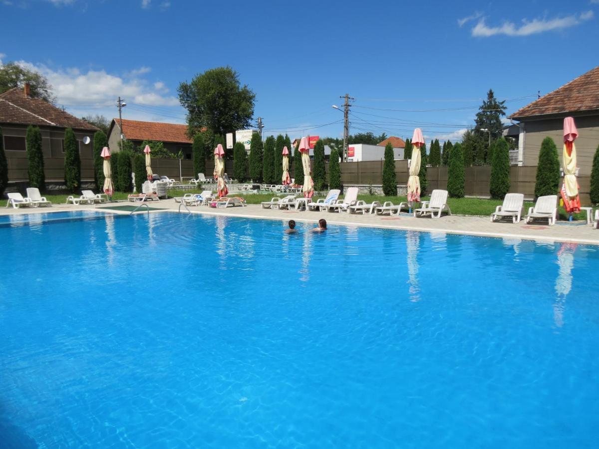 Pensiunea Cetina Brad (Hunedoara) Exterior foto