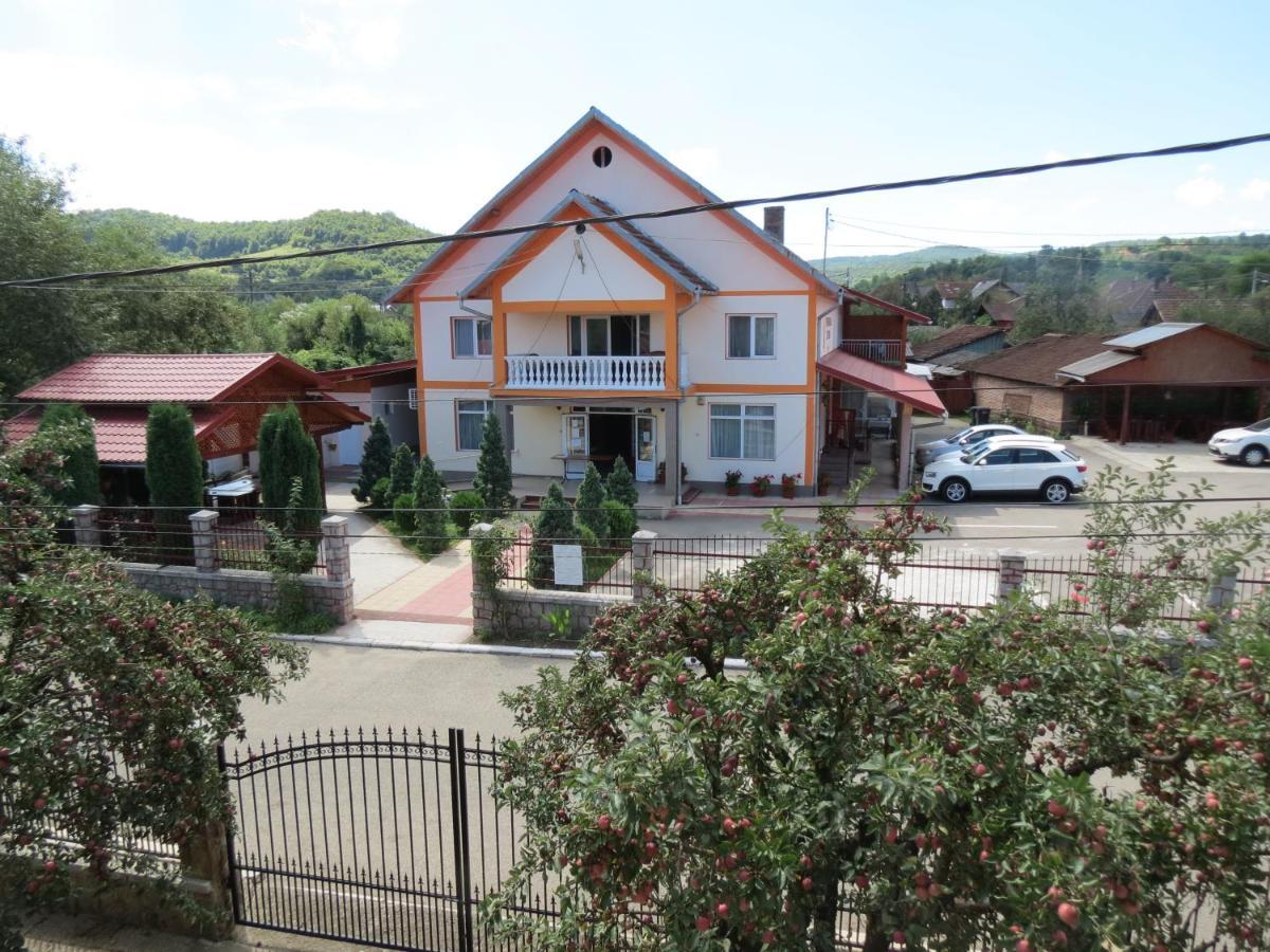 Pensiunea Cetina Brad (Hunedoara) Exterior foto