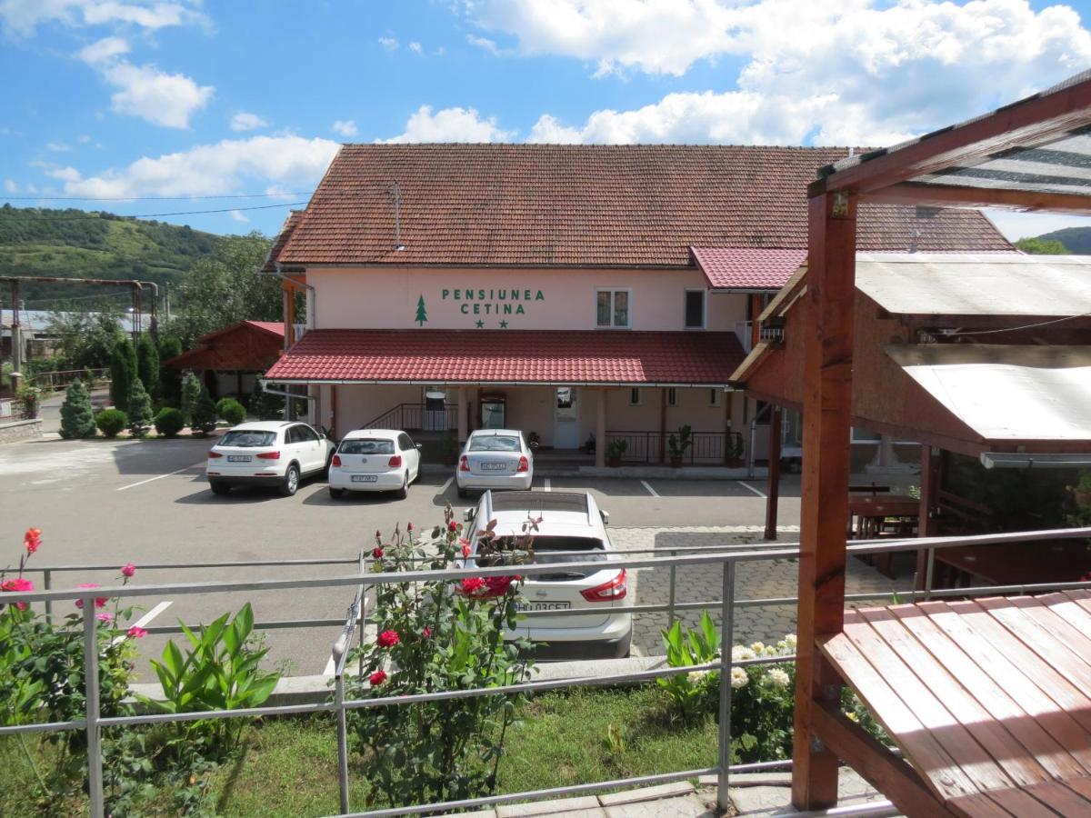 Pensiunea Cetina Brad (Hunedoara) Exterior foto