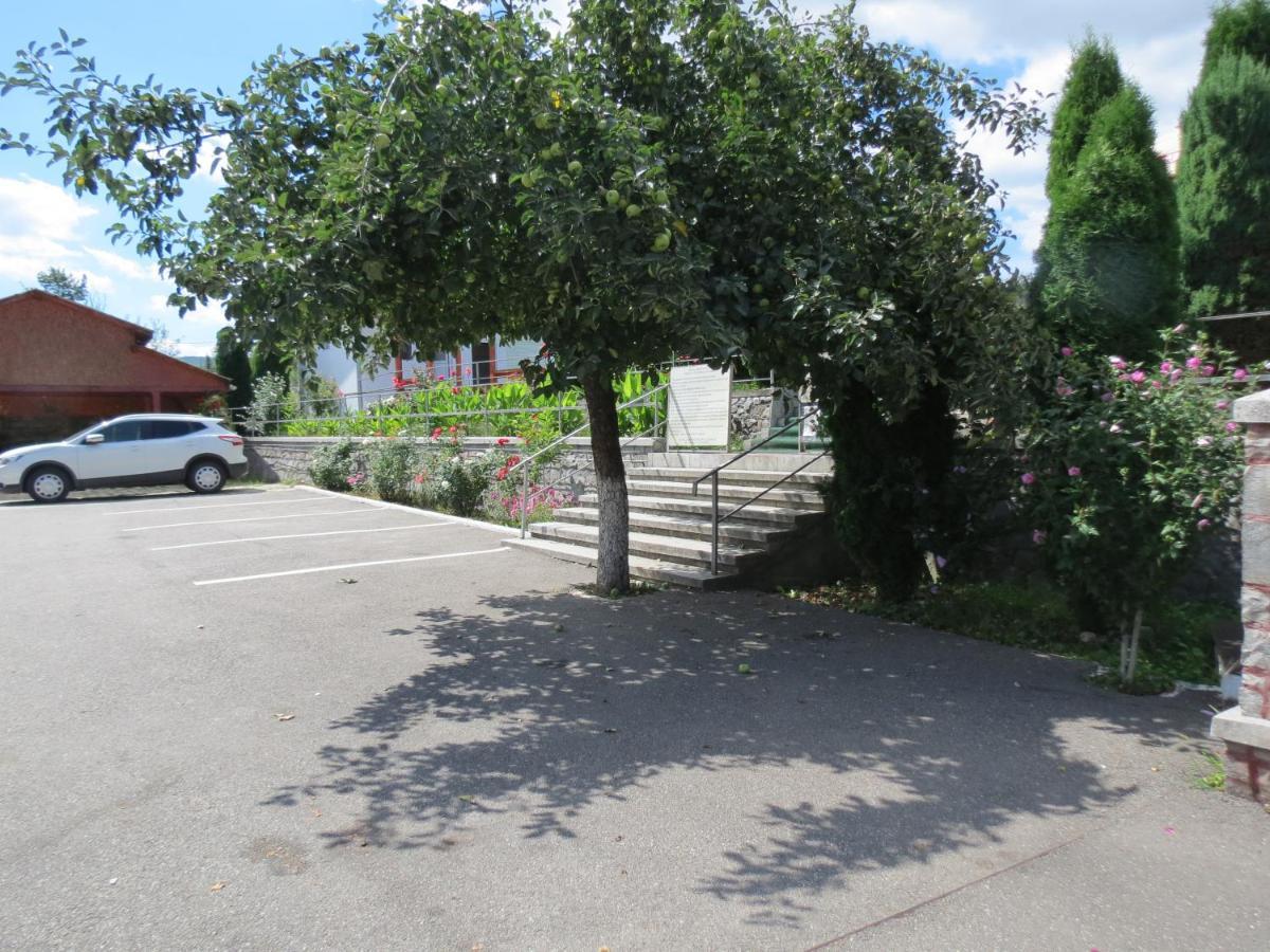 Pensiunea Cetina Brad (Hunedoara) Exterior foto