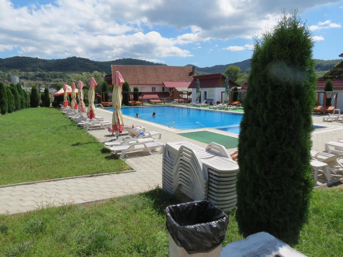 Pensiunea Cetina Brad (Hunedoara) Exterior foto