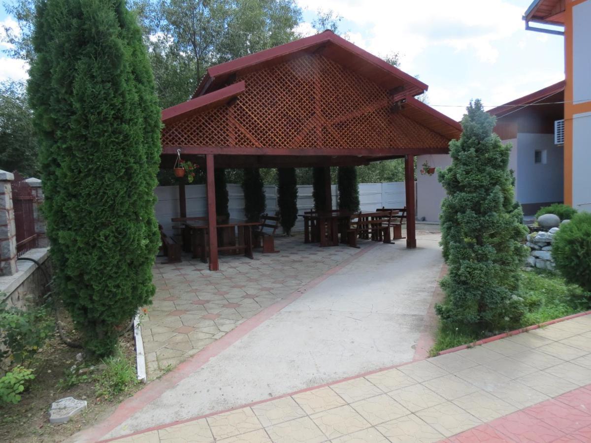 Pensiunea Cetina Brad (Hunedoara) Exterior foto