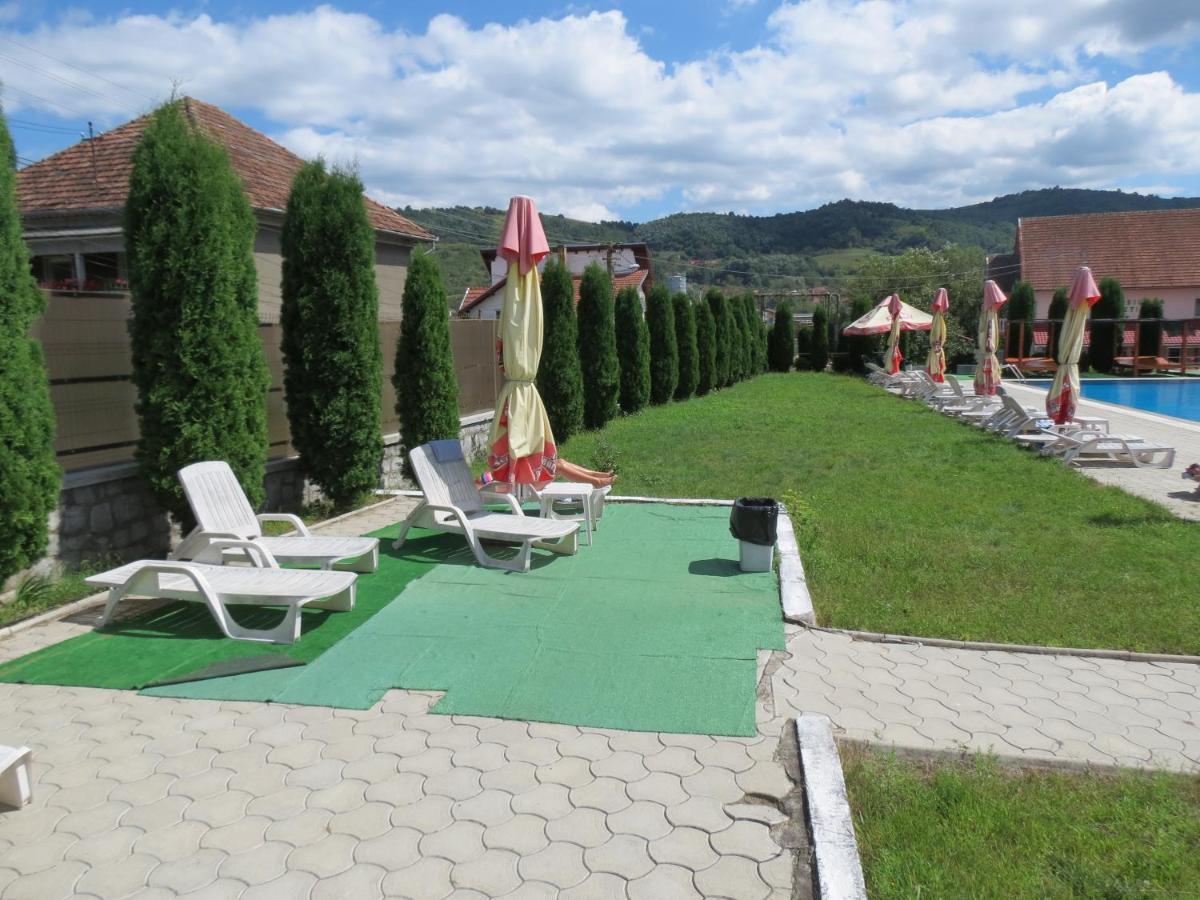 Pensiunea Cetina Brad (Hunedoara) Exterior foto