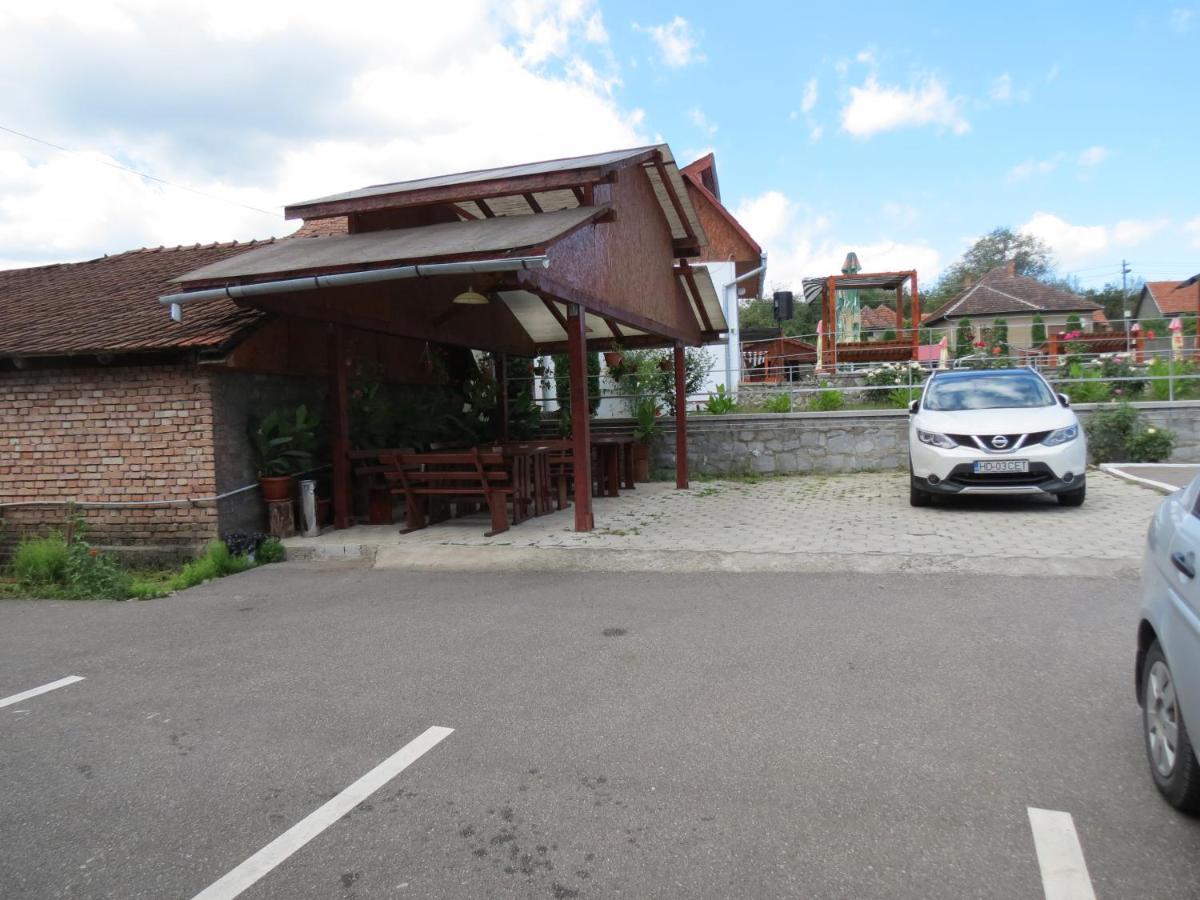 Pensiunea Cetina Brad (Hunedoara) Exterior foto
