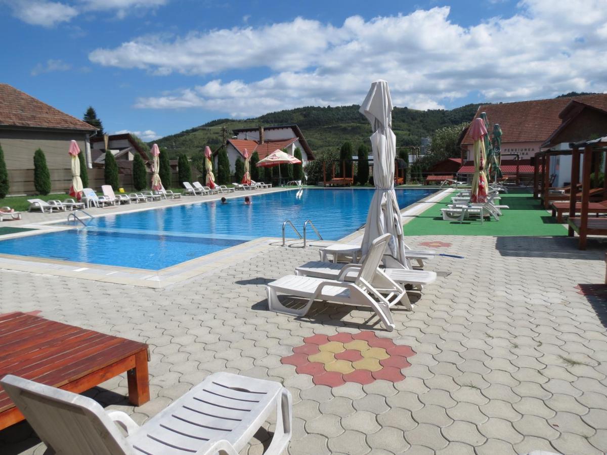 Pensiunea Cetina Brad (Hunedoara) Exterior foto