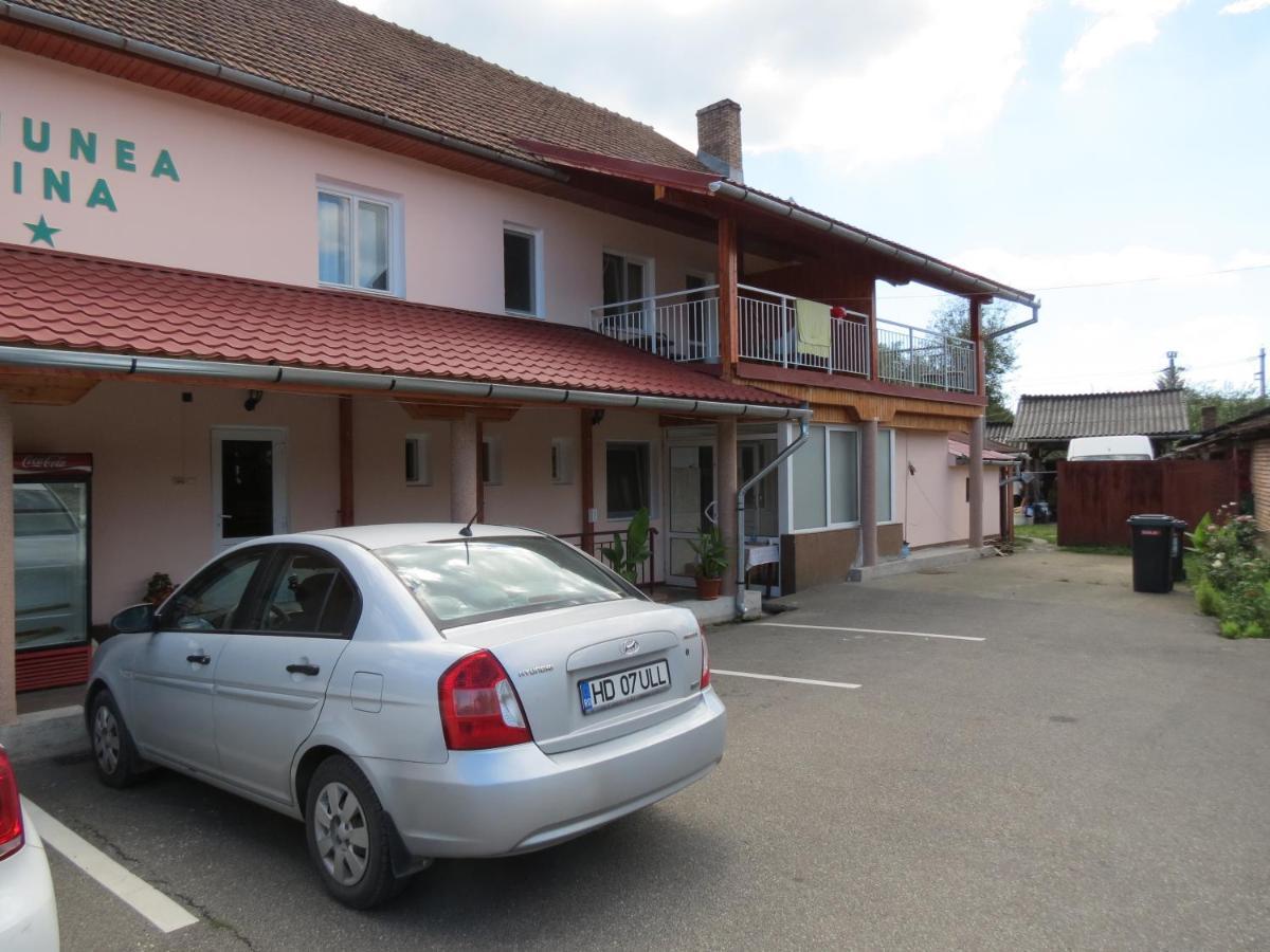 Pensiunea Cetina Brad (Hunedoara) Exterior foto