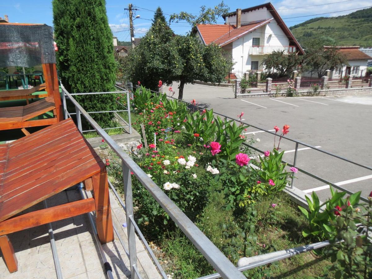 Pensiunea Cetina Brad (Hunedoara) Exterior foto