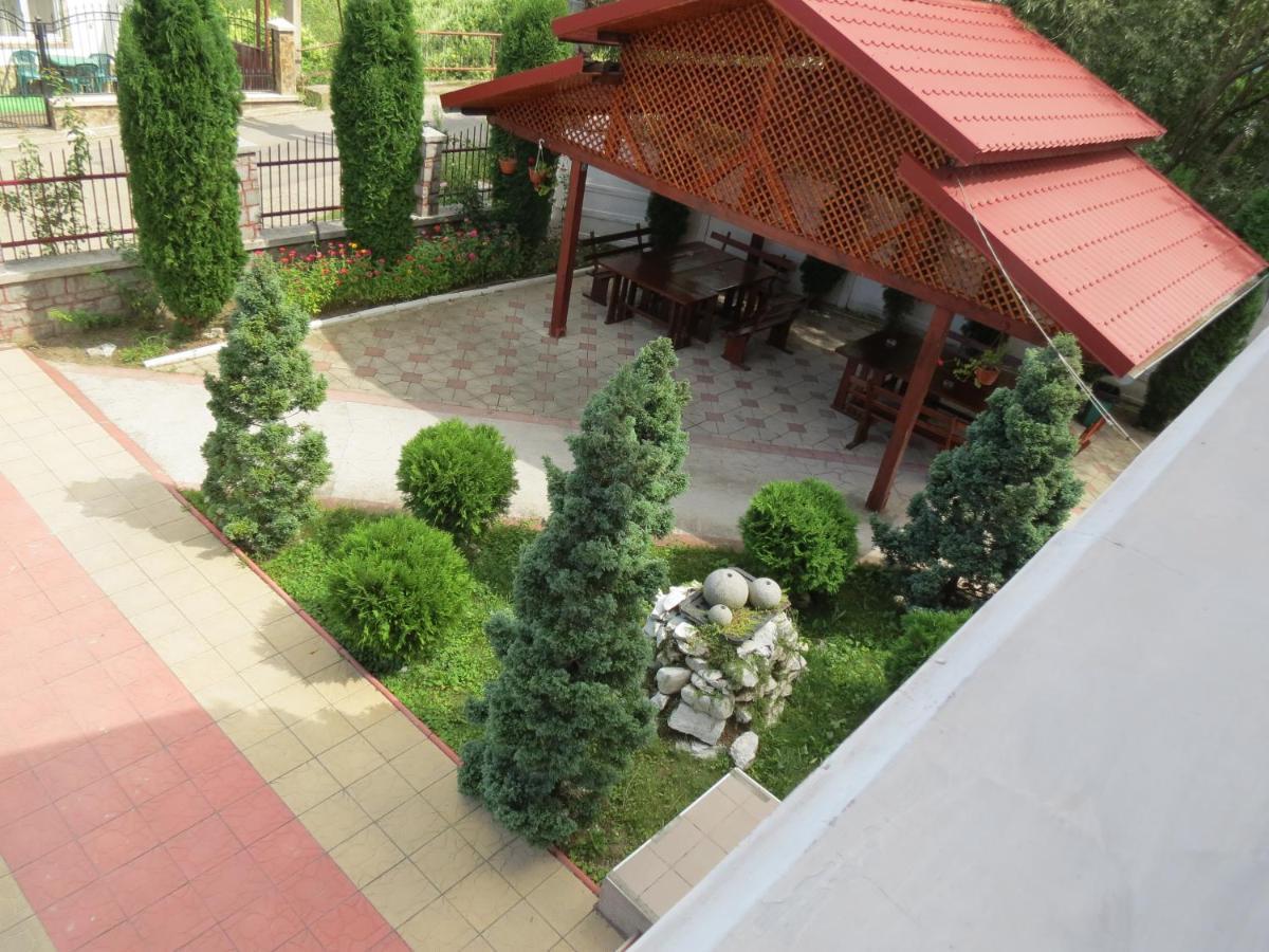 Pensiunea Cetina Brad (Hunedoara) Exterior foto