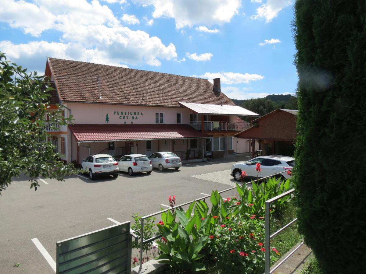 Pensiunea Cetina Brad (Hunedoara) Exterior foto