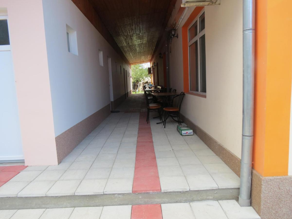 Pensiunea Cetina Brad (Hunedoara) Exterior foto