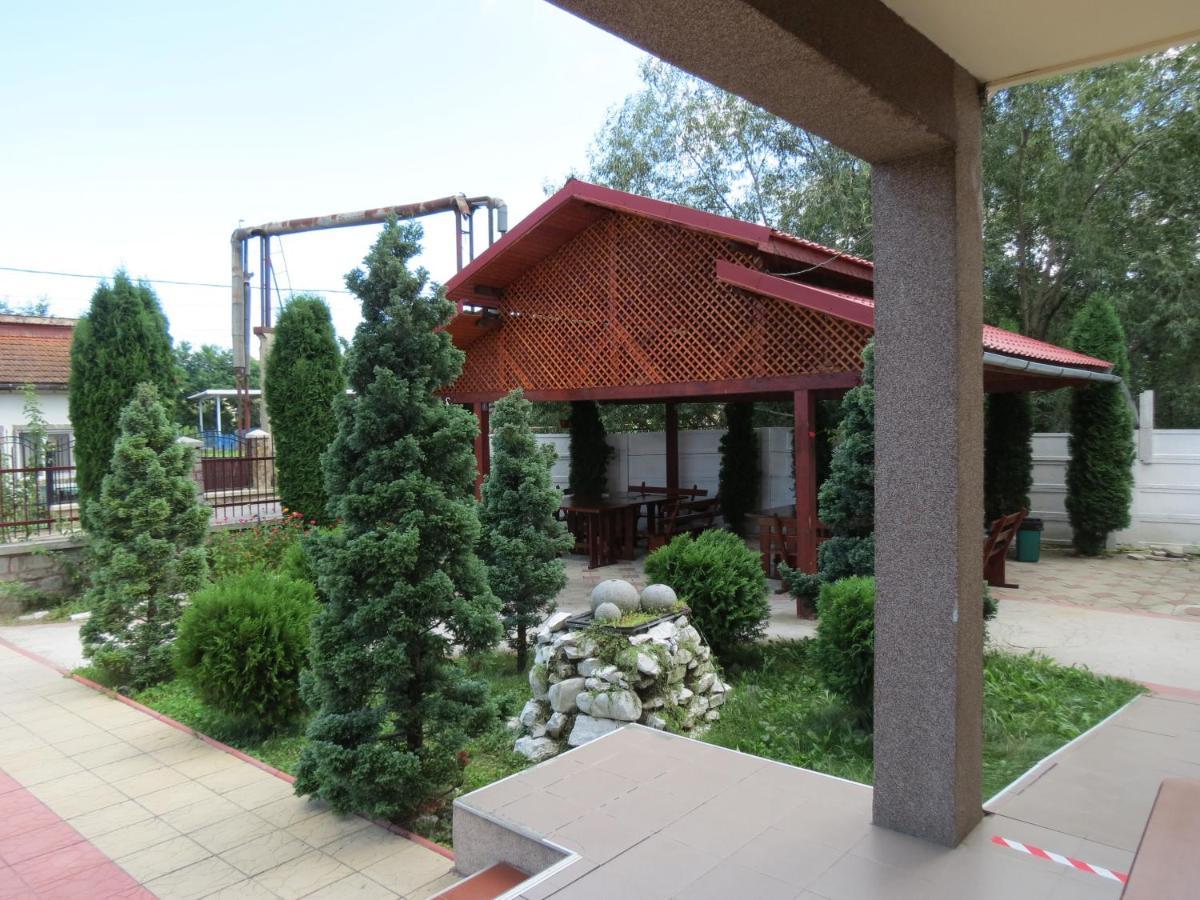 Pensiunea Cetina Brad (Hunedoara) Exterior foto