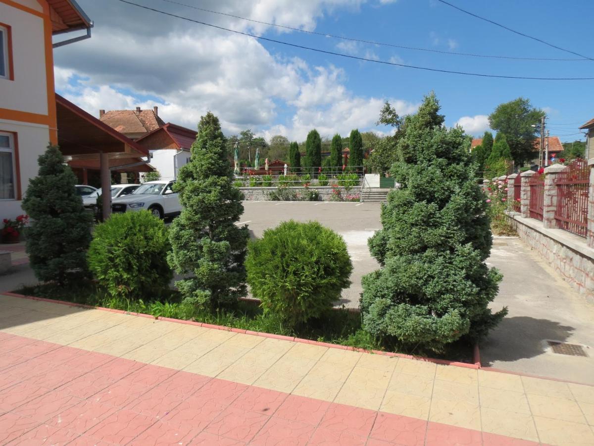 Pensiunea Cetina Brad (Hunedoara) Exterior foto