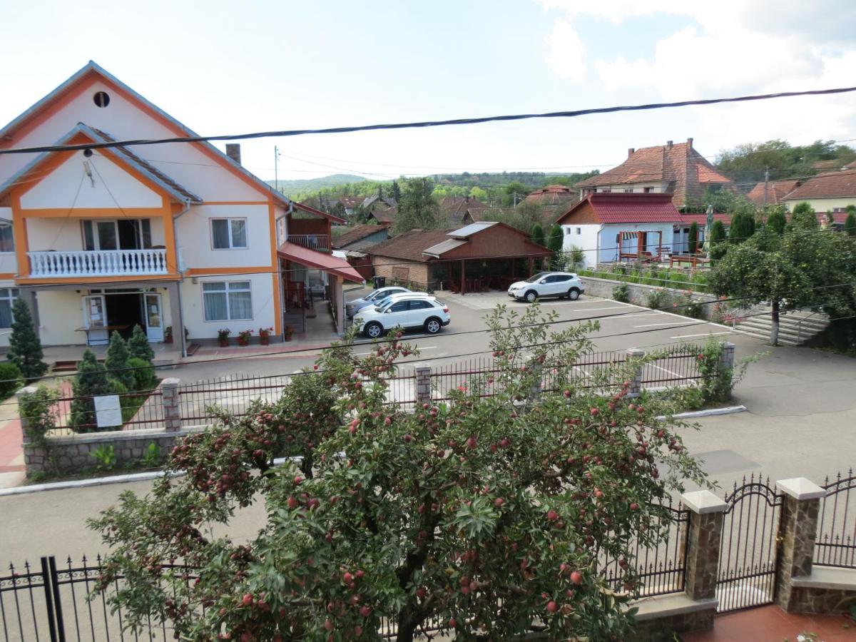 Pensiunea Cetina Brad (Hunedoara) Exterior foto