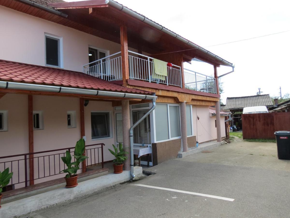 Pensiunea Cetina Brad (Hunedoara) Exterior foto
