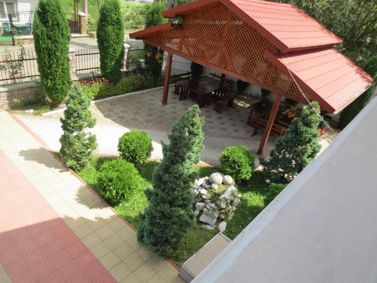 Pensiunea Cetina Brad (Hunedoara) Exterior foto