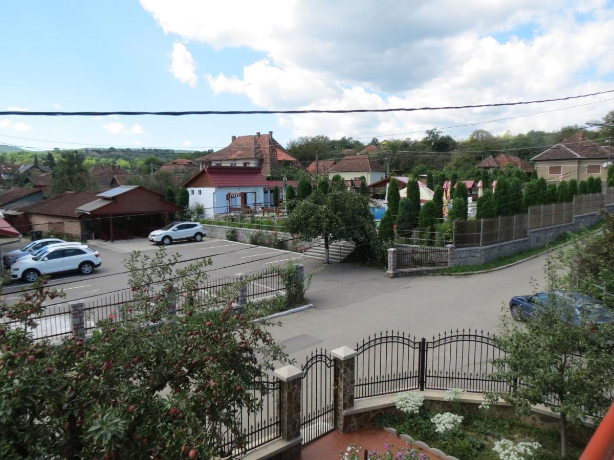 Pensiunea Cetina Brad (Hunedoara) Exterior foto