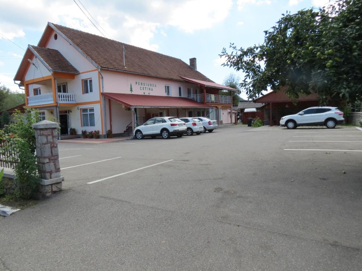 Pensiunea Cetina Brad (Hunedoara) Exterior foto