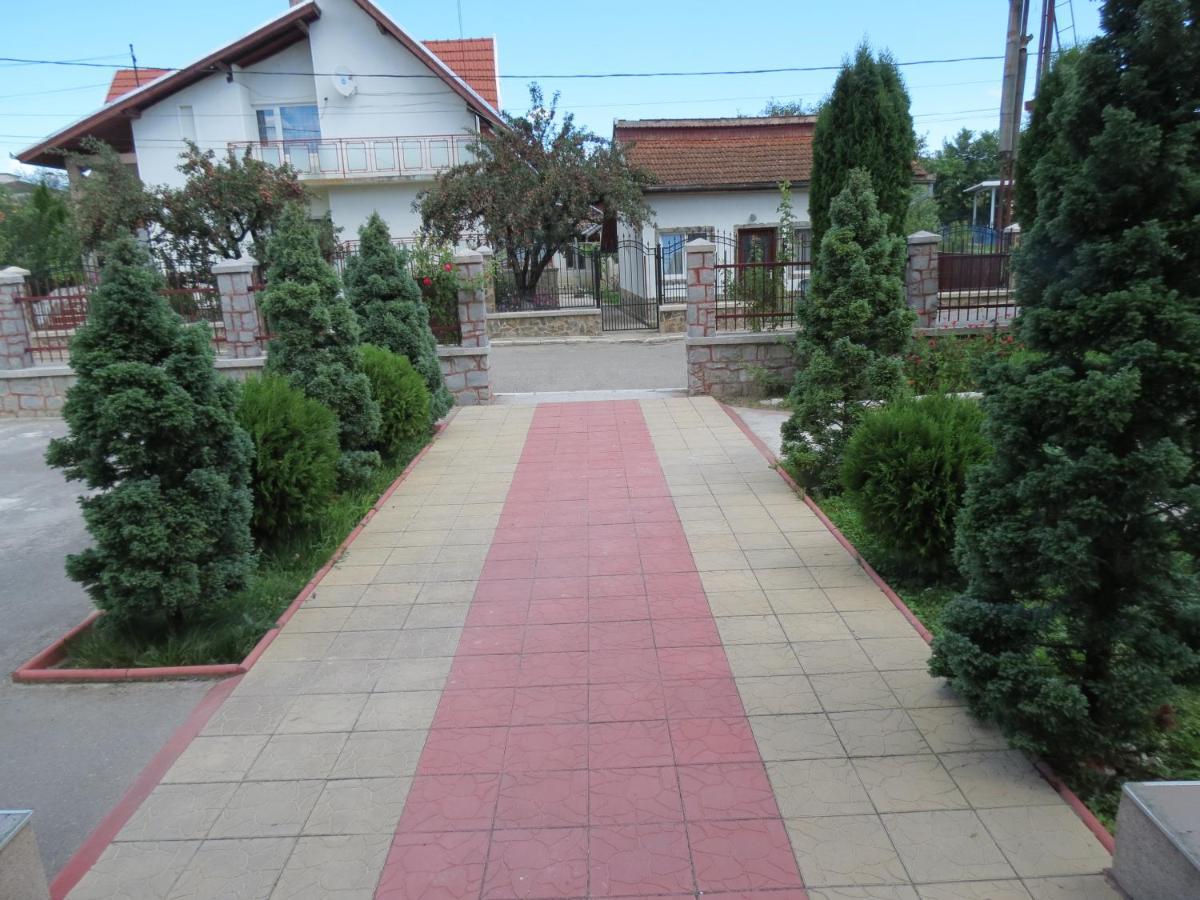 Pensiunea Cetina Brad (Hunedoara) Exterior foto