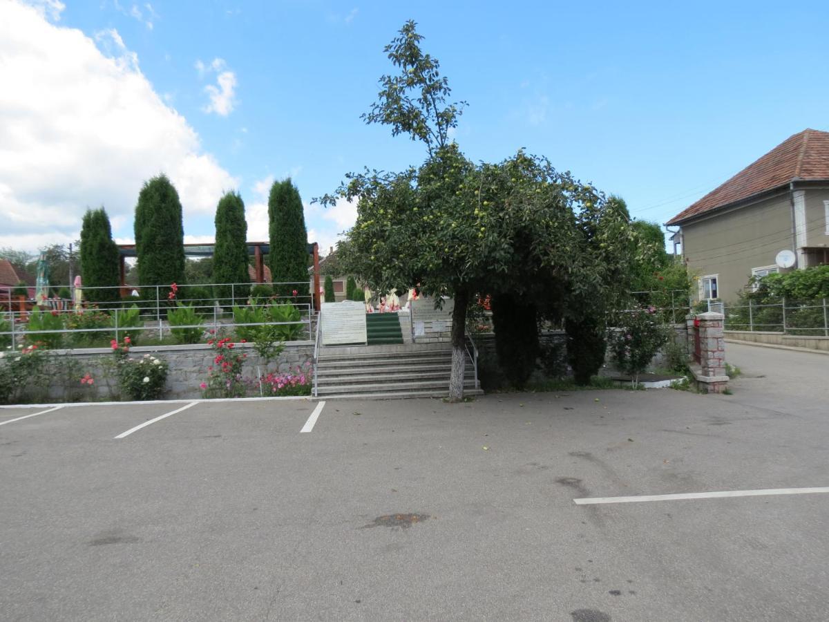 Pensiunea Cetina Brad (Hunedoara) Exterior foto