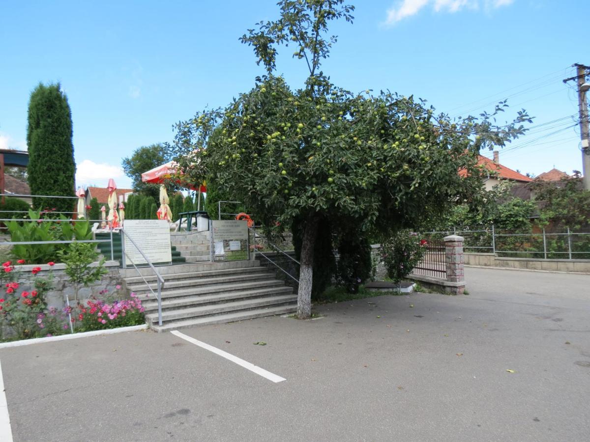 Pensiunea Cetina Brad (Hunedoara) Exterior foto