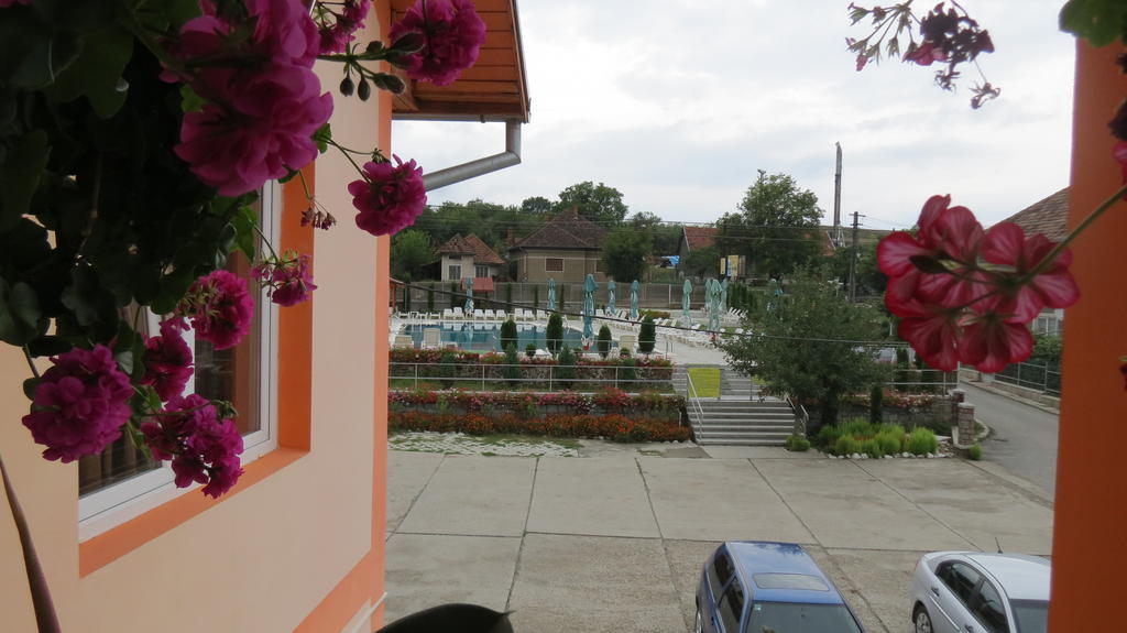 Pensiunea Cetina Brad (Hunedoara) Exterior foto
