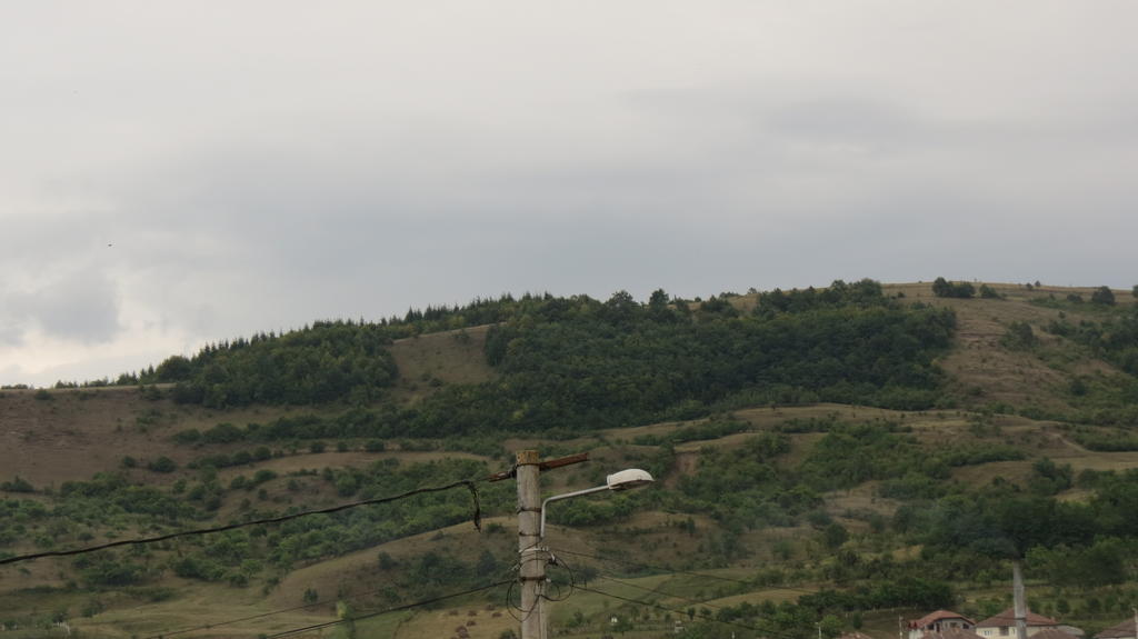Pensiunea Cetina Brad (Hunedoara) Exterior foto
