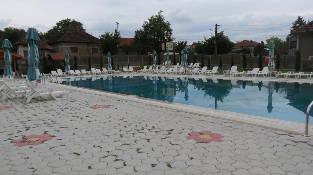 Pensiunea Cetina Brad (Hunedoara) Exterior foto