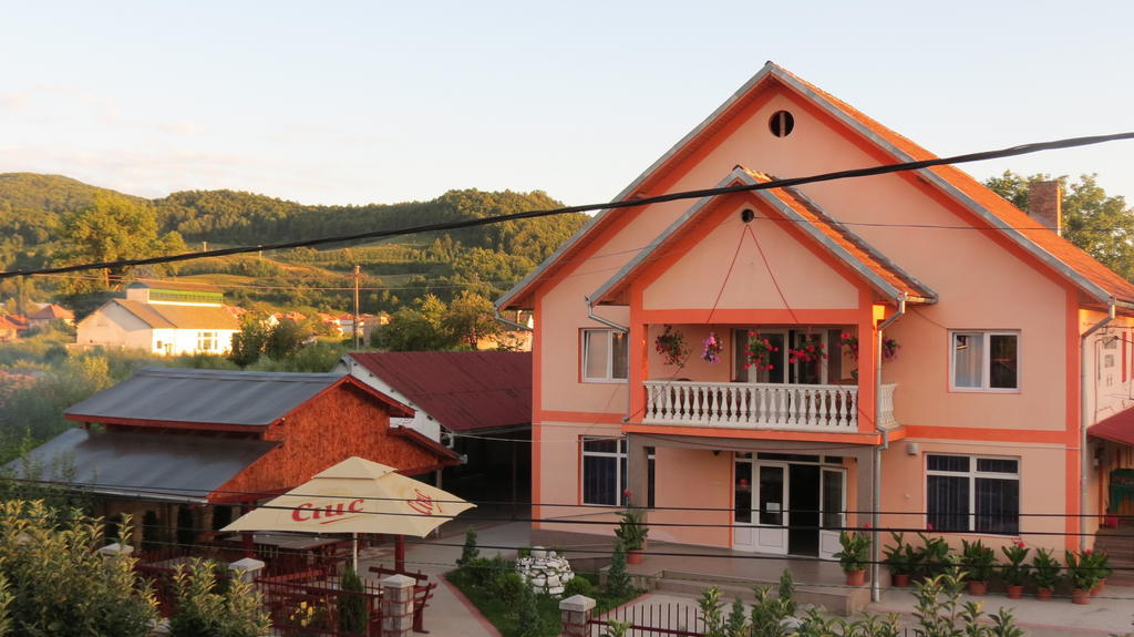 Pensiunea Cetina Brad (Hunedoara) Exterior foto
