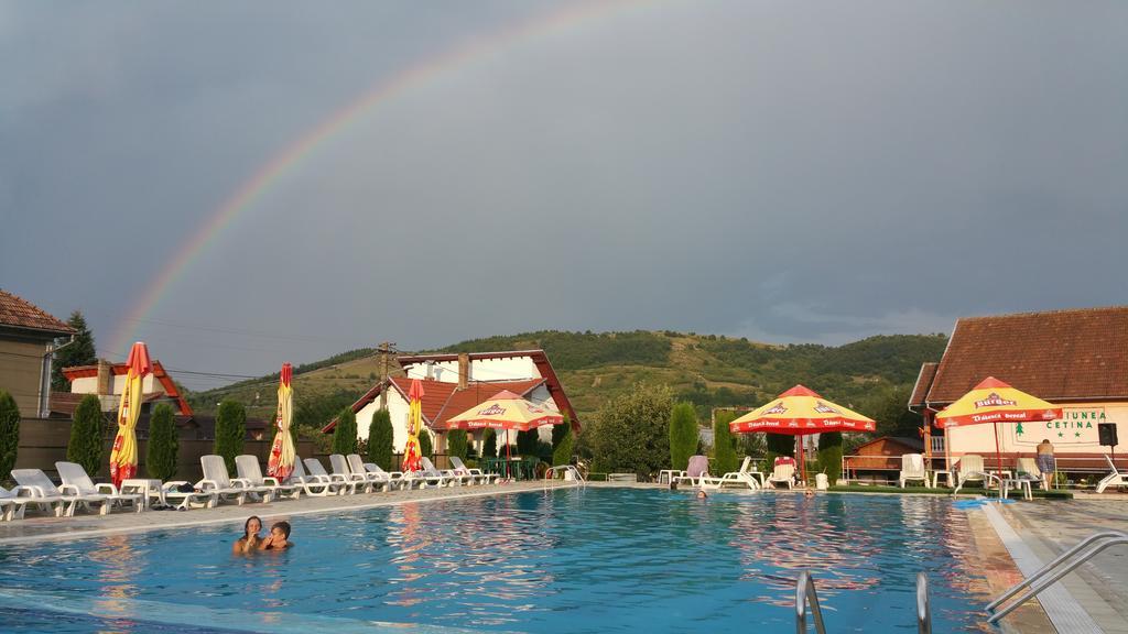 Pensiunea Cetina Brad (Hunedoara) Exterior foto